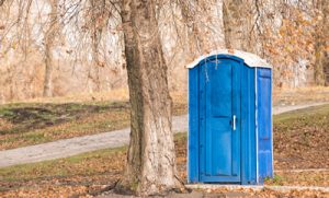 deluxe porta potty in a park under a tree